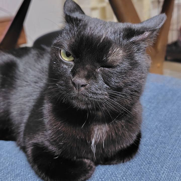 9f4825b2 7029 46f5 bad9 2a2fac9f93d8 1755691027807