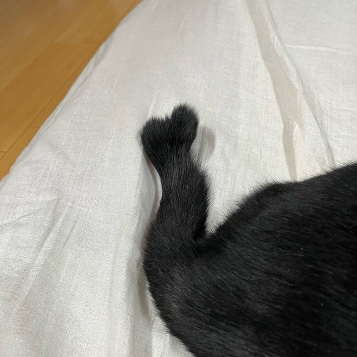 9f4836fa 4196 4f19 86fd e60c2817689b 1712930985852