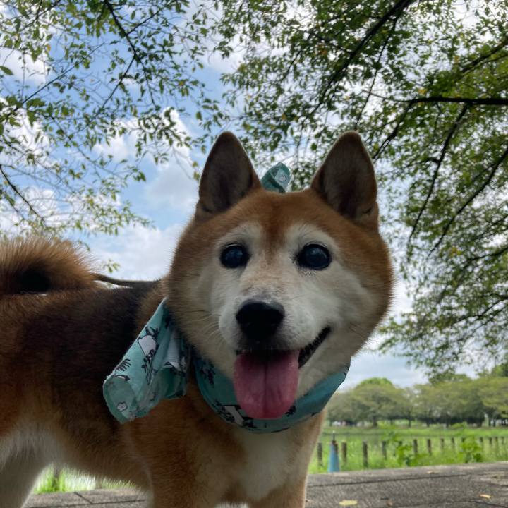 9f48434a 5a1b 47c3 b70a aee4e7e29ed5 1723951451490