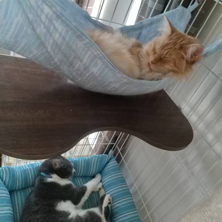 9f489ce3 531c 4b93 86fe e6ce8b226d16 1627025421886