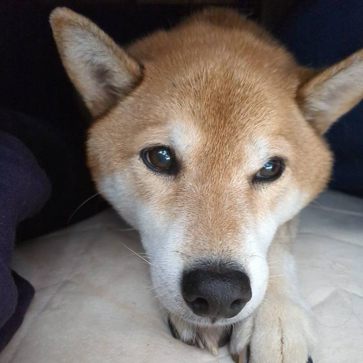 9f48af18 b36b 4484 b9c0 76caf625ee78 1701684204835