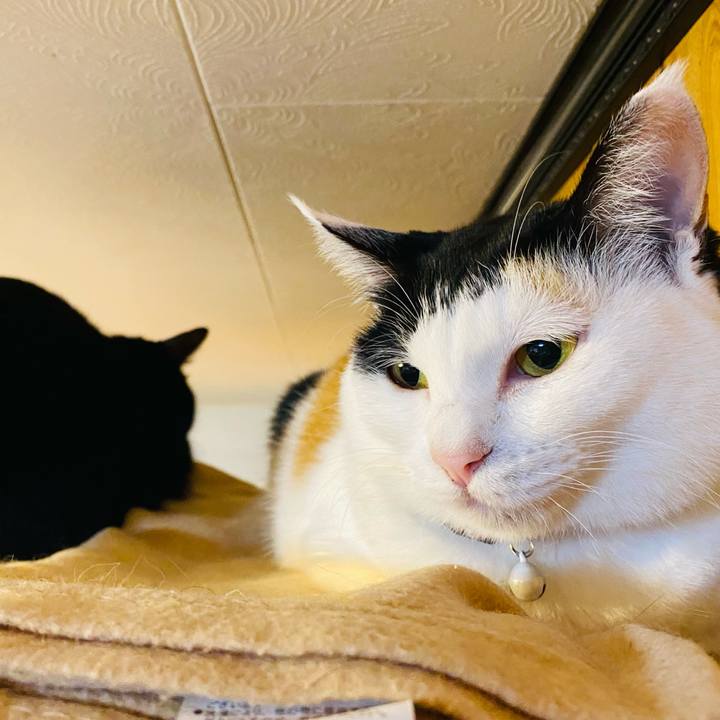 9f48b286 ffa5 47fc 84e9 5712644380e7 1670765284840