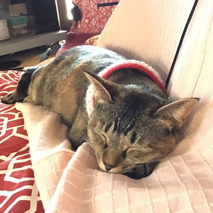 9f48bc96 7ad8 4bcc b1ea d42dfd7de74f 1610085754360