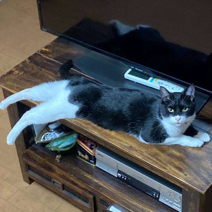 9f48f0b2 1d84 4017 b8b7 615ce18d4086 1620507496770