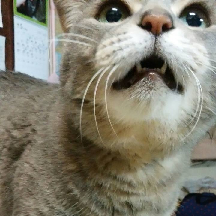 9f491193 c9e9 4836 9f4d 8f3c0cc0a5fc 1526410662282