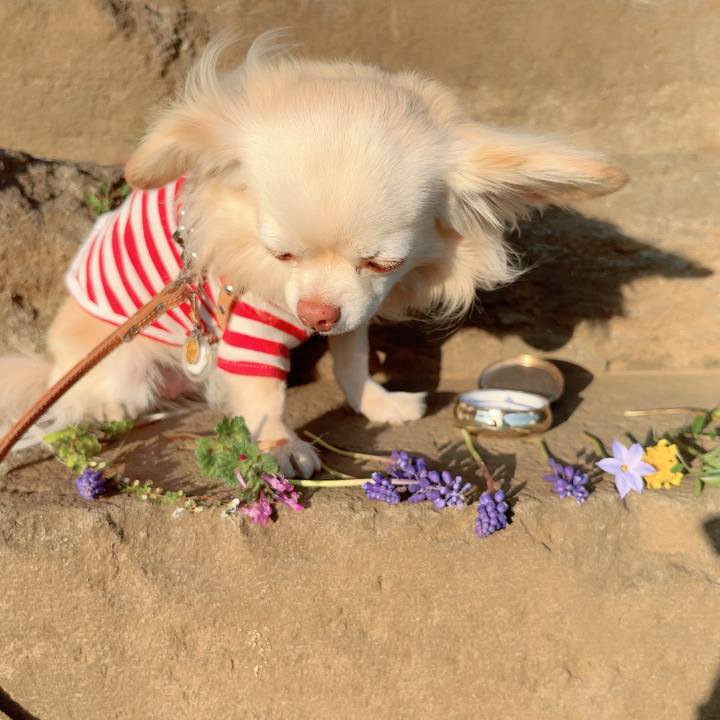 9f491fcc abec 40e6 8d96 81507465dfa5 1711115233931