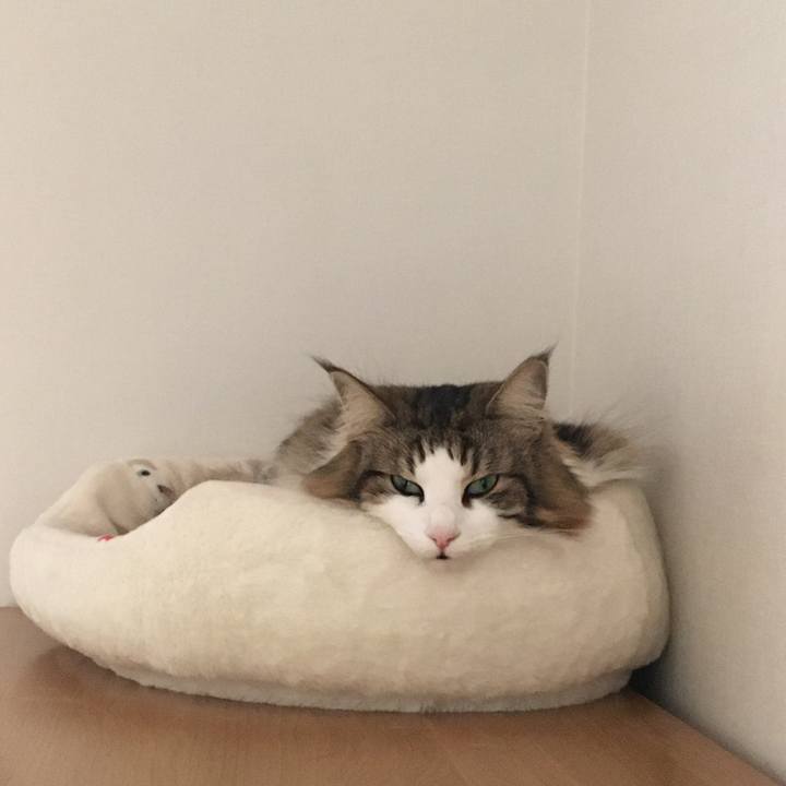 9f492668 2fc6 4f9d 88e7 740c633dddda 1611555610859