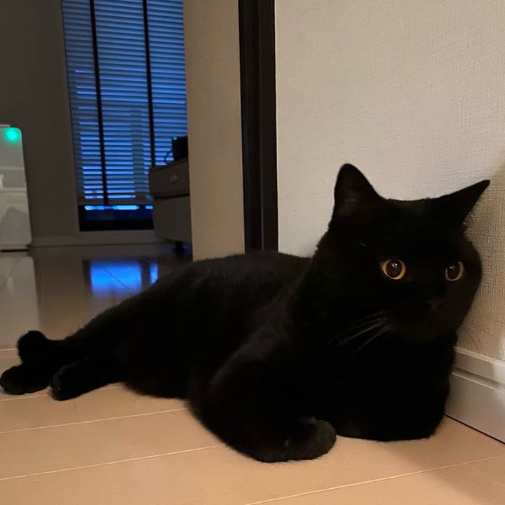 9f493491 6b6b 47b8 a8e6 bdef9982a901 1627120857324