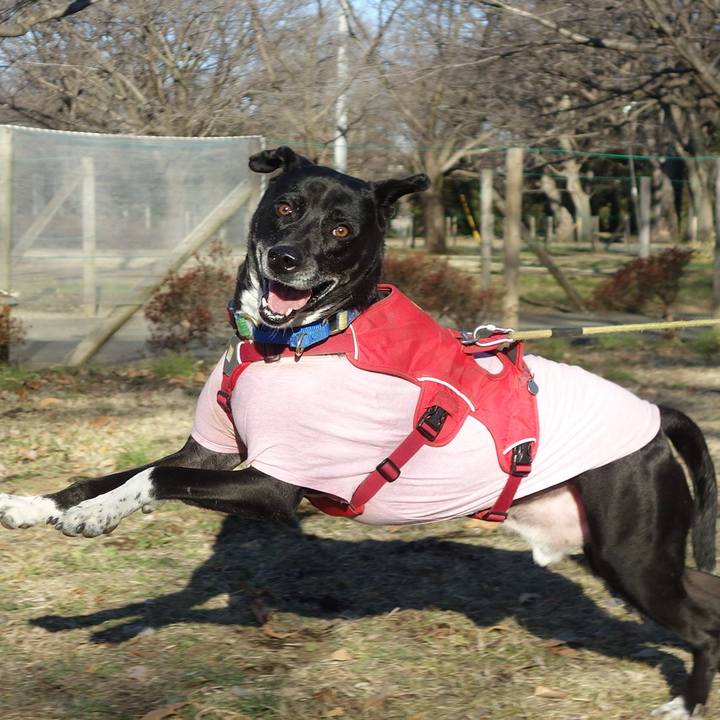 9f4994ff 803a 4f24 b000 0a4fe2cc9227 1676510064331