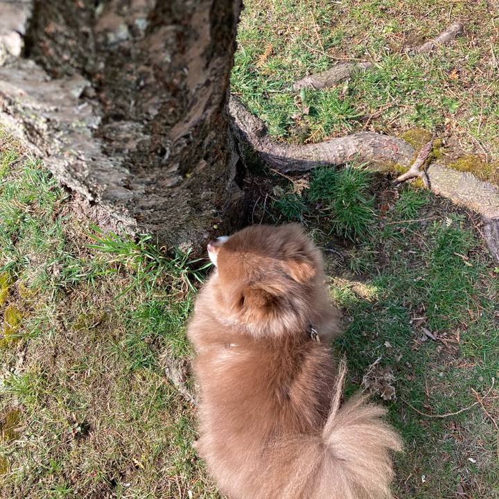 9f49bf42 6b7f 4dd3 a261 218fc71b71ca 1649731475923