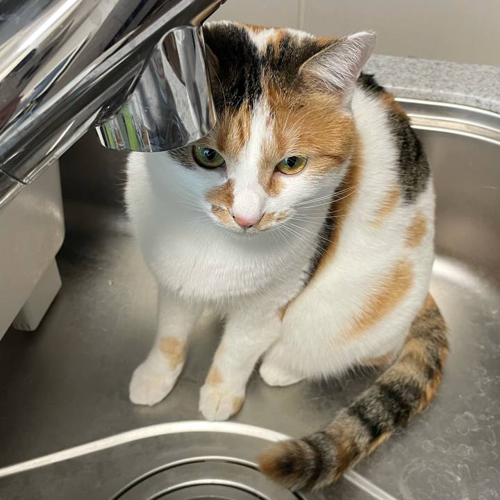 9f4a6bfd 5ac9 4402 8868 59078f68f221 1610494326166