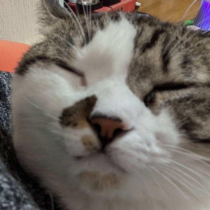 9f4a7ca5 5599 4a28 953a c8689d96eb3b 1732003822797