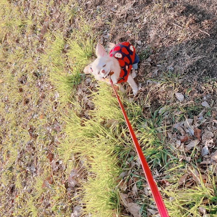 9f4a9f87 9543 4cfb a9f8 b1c54e800484 1674026766093