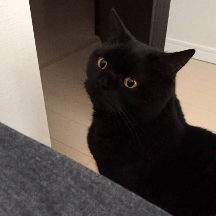 9f4aaeed 93c9 4f62 ac3b c2ef7f6e2e40 1555458712454