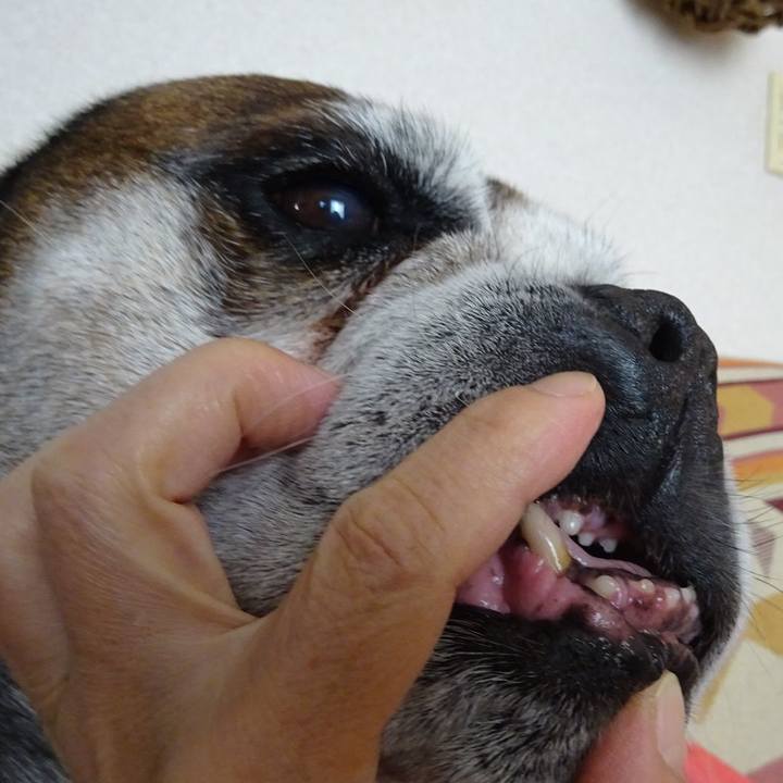 9f4ae777 5f2b 4c02 a991 16b5458bf164 1571402958411