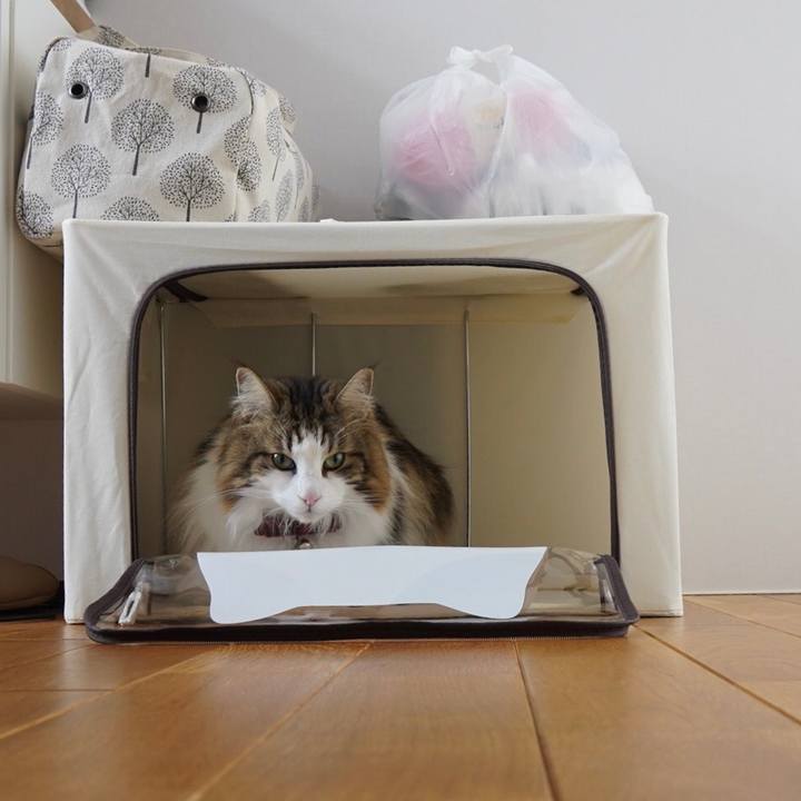 9f4b3b33 7998 4e01 b069 0556be298094 1615083589825