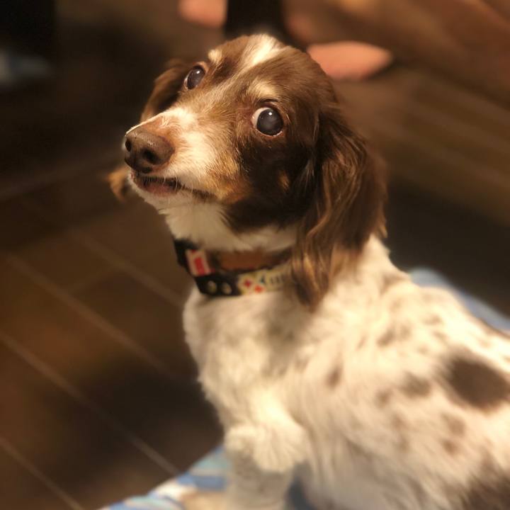 9f4b5474 795e 4b46 b194 7ac1314b93e3 1566775293843