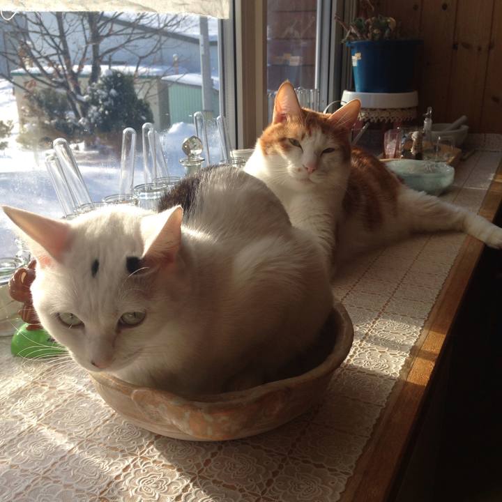 9f4be304 9cf6 4e72 93e5 7fa6400b1d8b 1513470740953