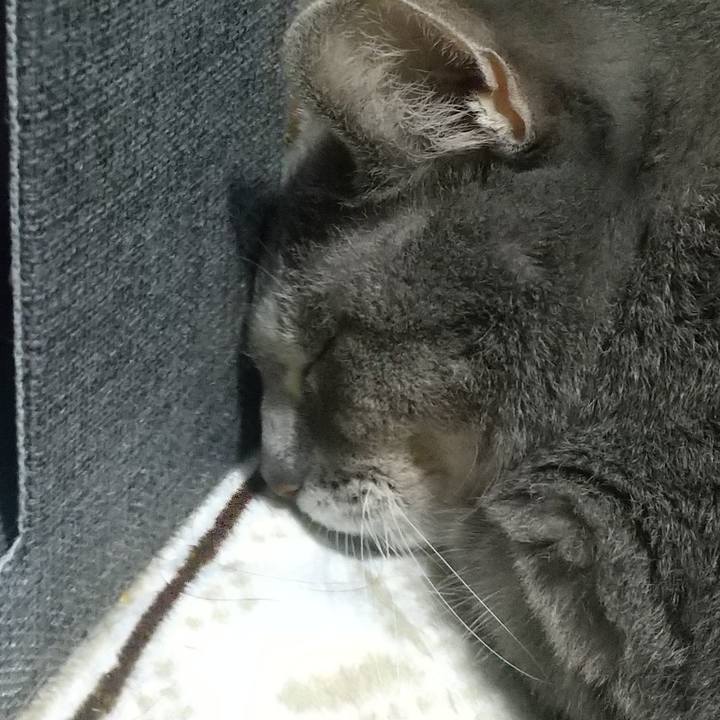 9f4c50fd 4c05 40c0 a732 14d5ed80b6cf 1668209566274