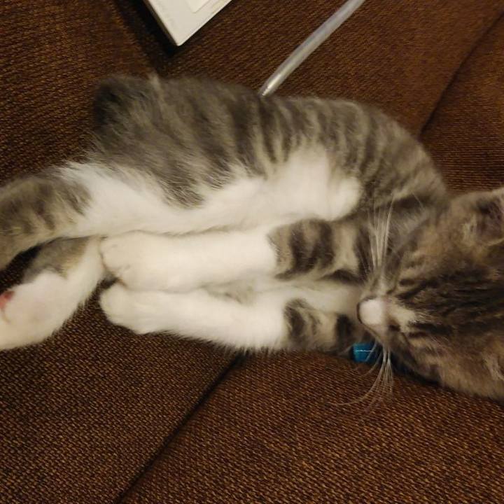 9f4c6981 6490 4163 a6c9 213661b680e2 1562836148759