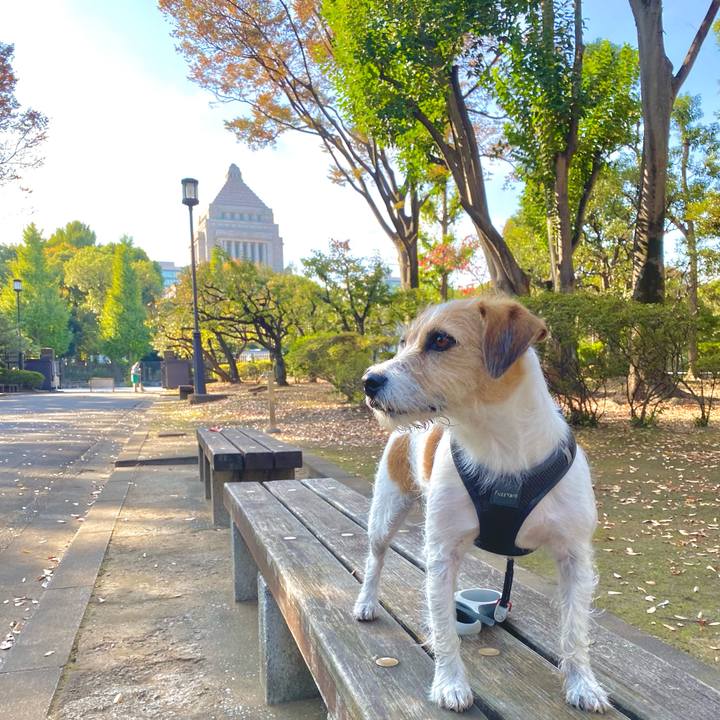 9f4c8240 87ef 4b5e 8778 acc6512c3807 1636247094074