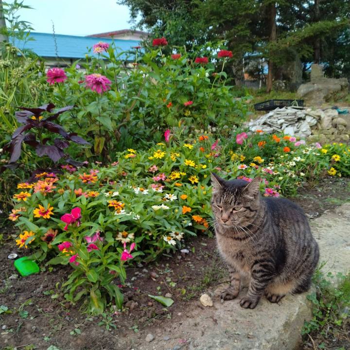 9f4cb06a 7252 49f3 b253 13535aad1aae 1690064197918