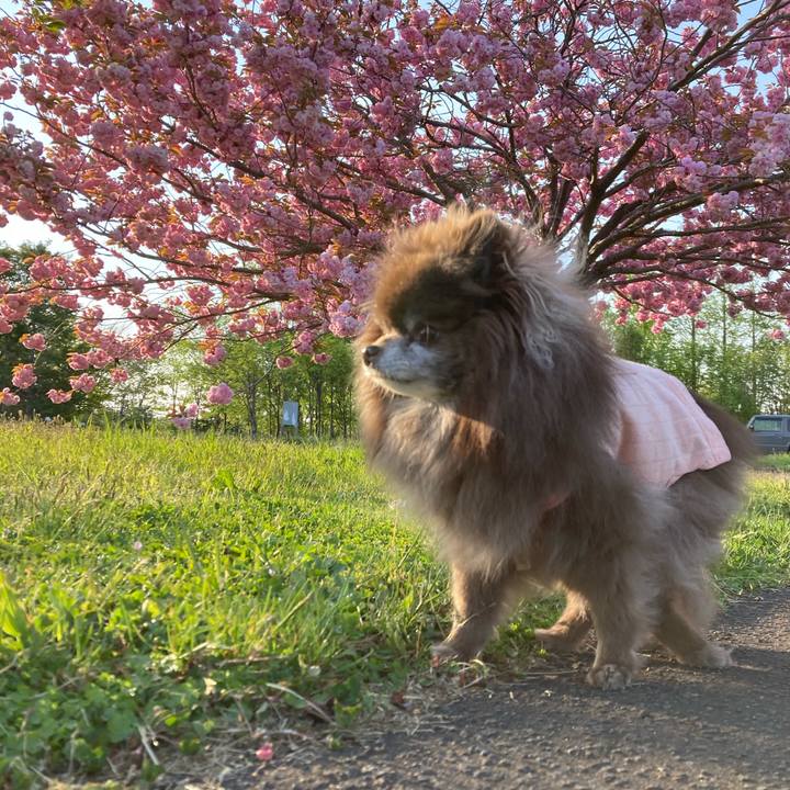 9f4cb516 dca9 4ff6 bd8e 6a23e6a1aa54 1684020172356