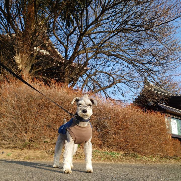 9f4cc894 2dbc 4d36 a31d 9641186e35e6 1772407312171