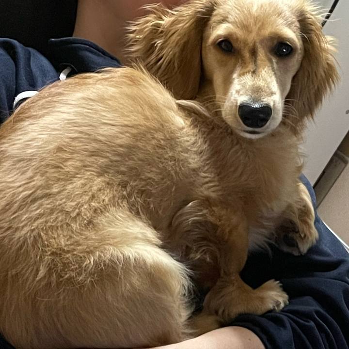 9f4cd883 9157 4a86 b5c8 e6e8342c2ae2 1679130304086