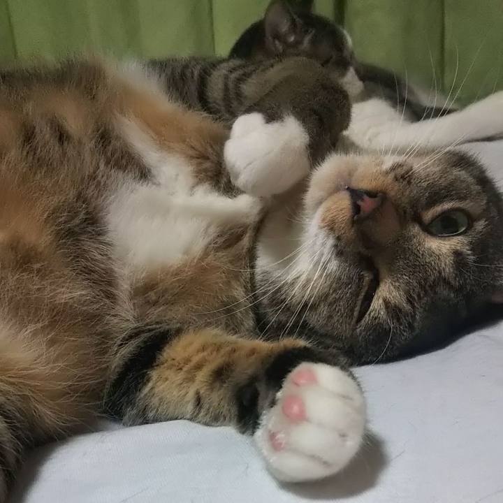 9f4d067a 577d 4716 882c 26ee3c68ca96 1628862997713