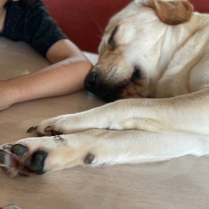 9f4d2b2a ad80 43fb b73f 3710532041d2 1656720267963