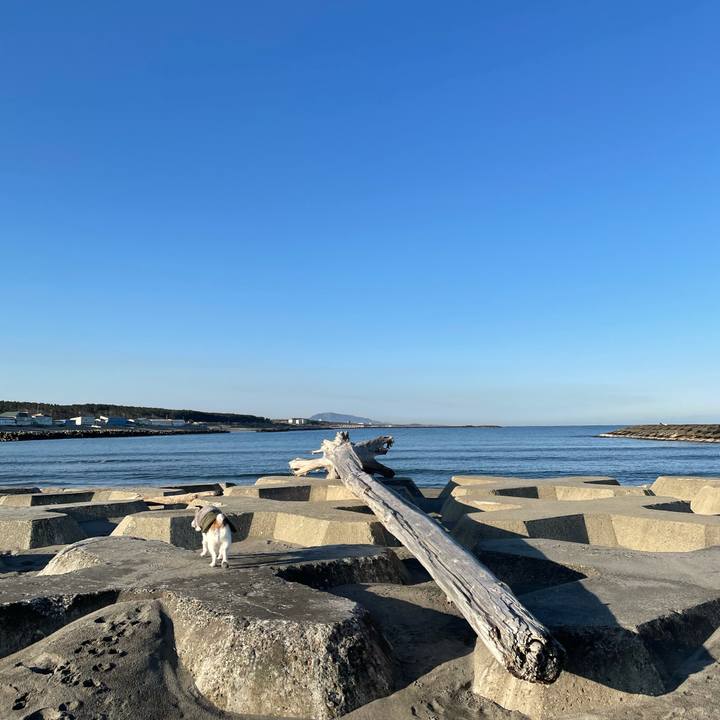 9f4d694e fad7 4f2d 9ad9 b38b388e3e49 1615247371017