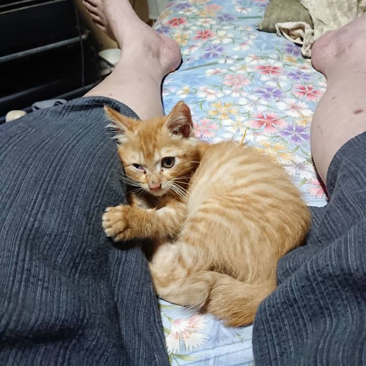 9f4d9bc3 7420 45bd 8b52 bfb3afc011d4 1627990922315