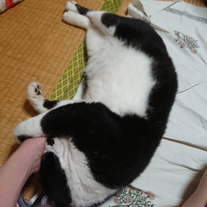 9f4ddff0 7381 4334 a2cb b71a80ad7d70 1529587051302