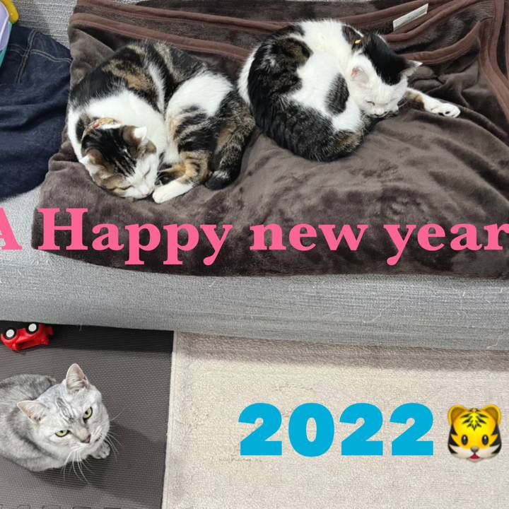 9f4e177b 318d 44a5 9bb2 a3a556a899e2 1641294266198