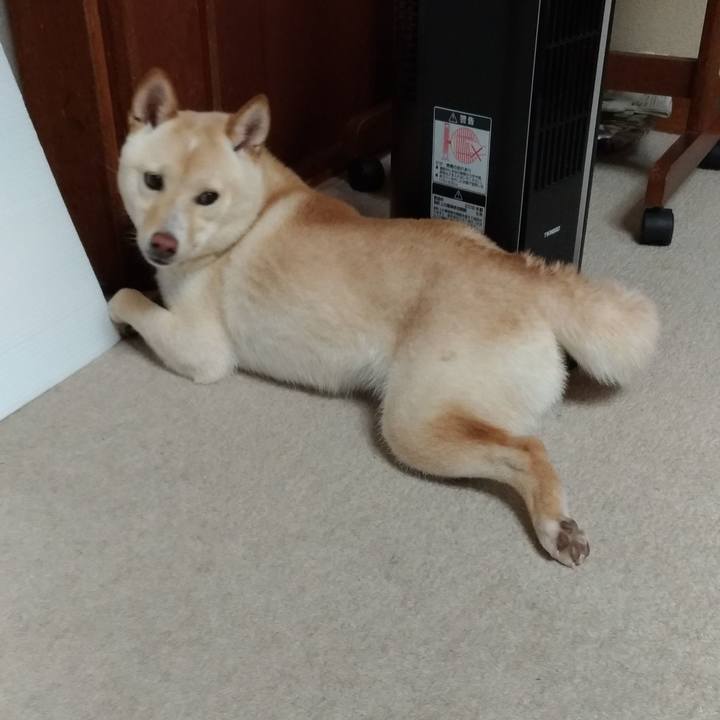 9f4e360a 60c9 4e22 a8d5 d6b8e323f5d8 1528584807117