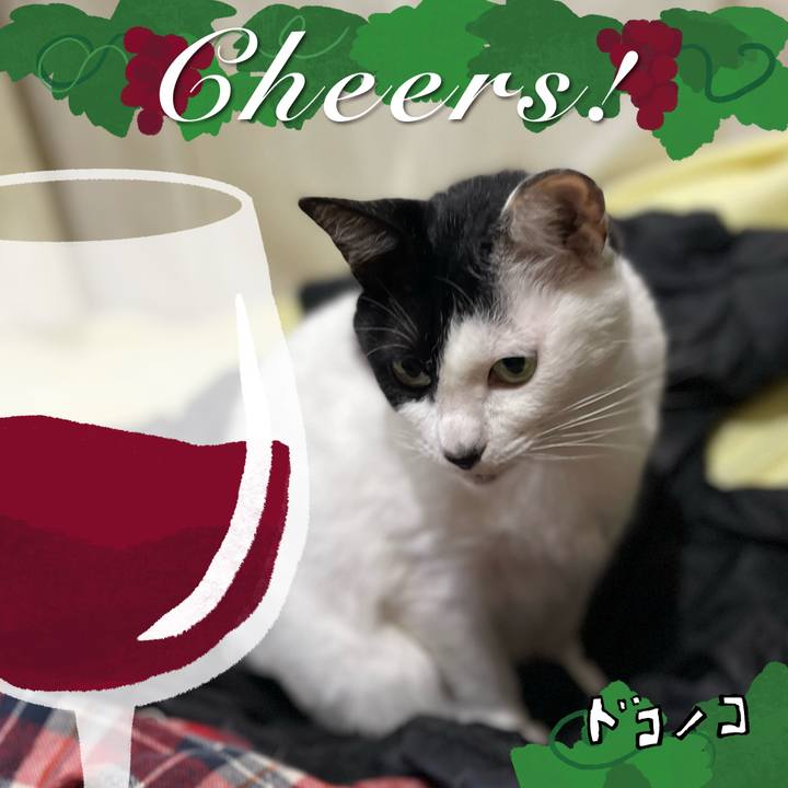 9f4e4185 f57e 4906 971f c6b49fe46e23 1761519243972