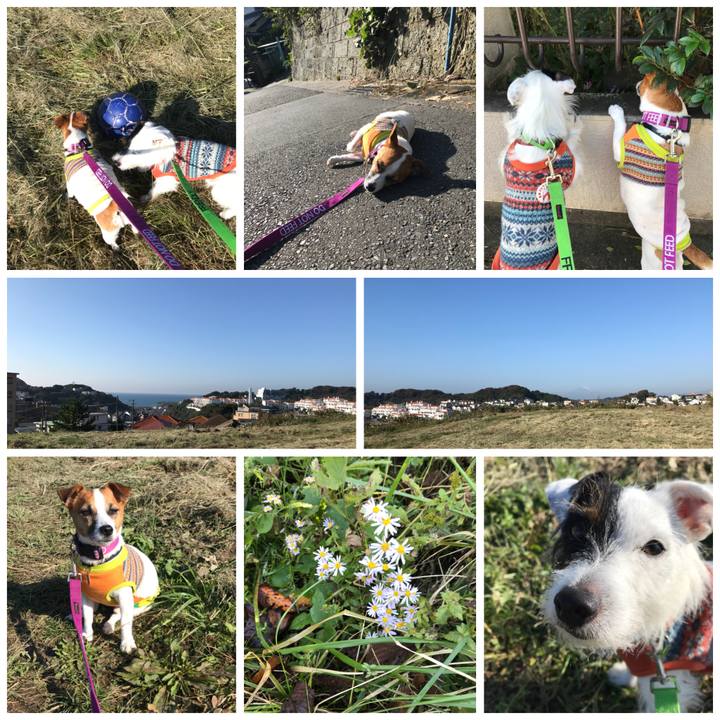 9f4e7fa0 6408 427c 82b7 6cc72a1e0f61 1509064623065