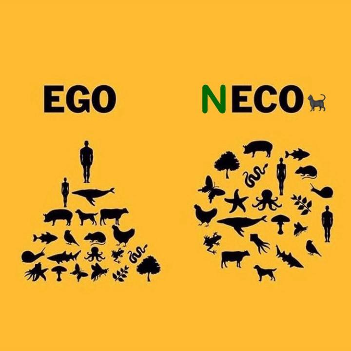 9f4e8347 d17a 4186 8e25 acb9e11a4b28 1723066104751