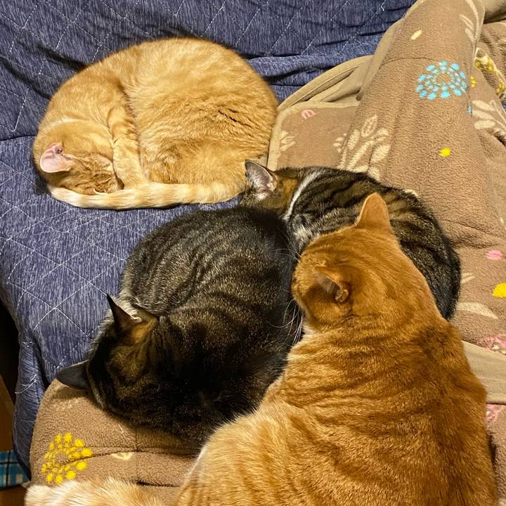 9f4e9615 af96 4f5d ad59 88cf25e11941 1640812338786