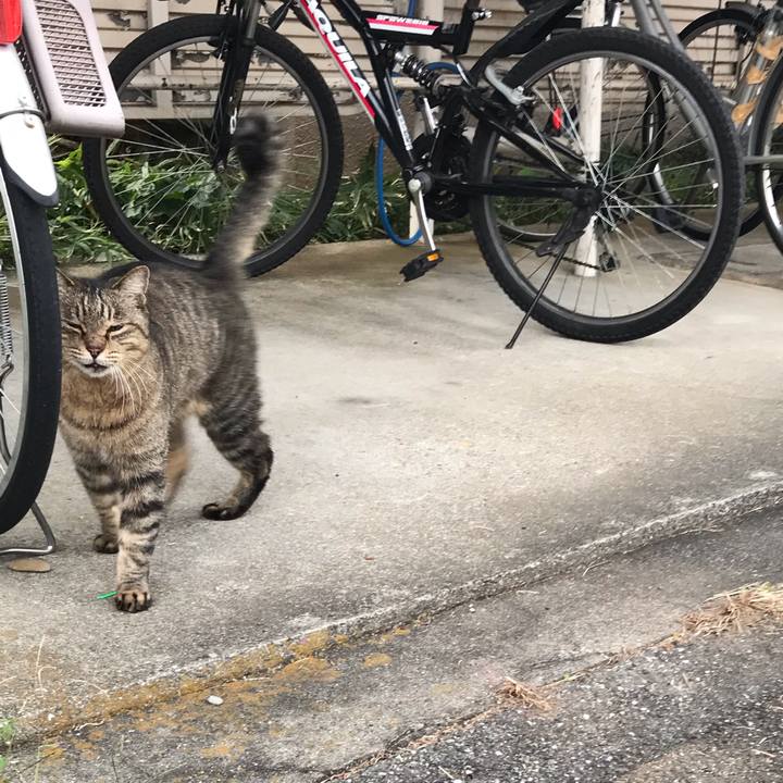 9f4eb23a 92ab 4195 bd23 65e3fd1d386a 1542005279225