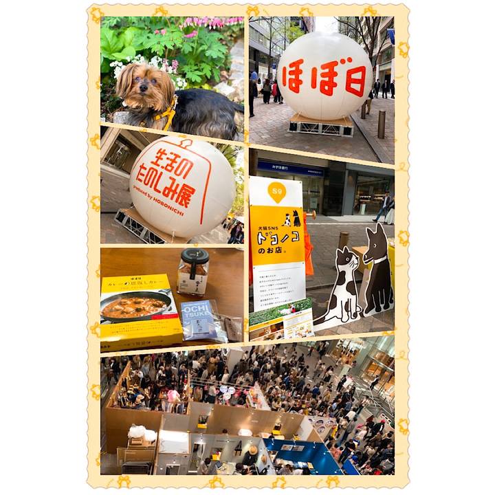 9f4f1406 8408 43e4 a5ce 60e958803887 1555739988124