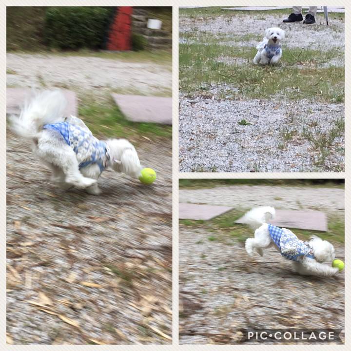 9f4f514f 2331 4a0e a9c2 4bd8242b47d5 1525260923359