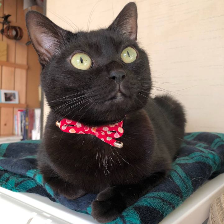 9f4f5666 351c 46a3 bb11 effeaac98b9b 1608504129916