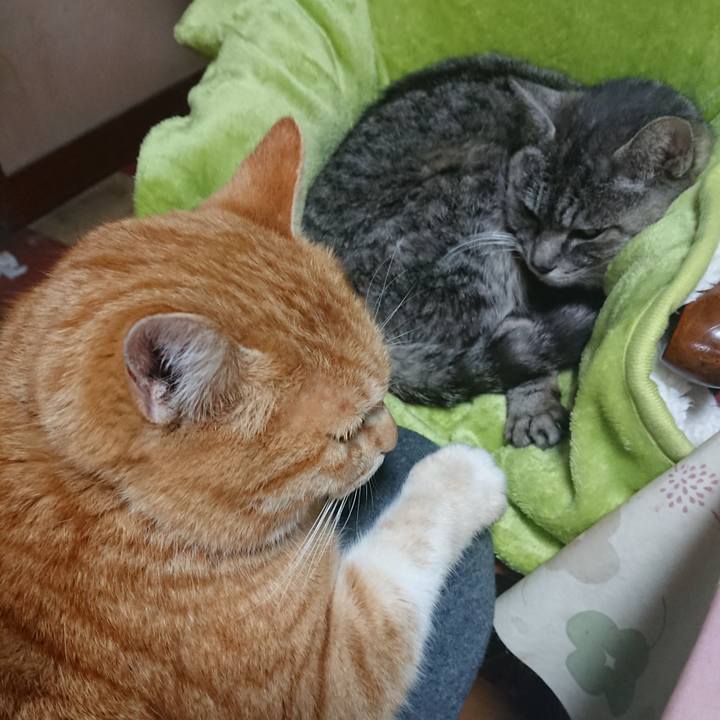 9f4f6458 2441 4451 8aaf 925e20841401 1582338881929