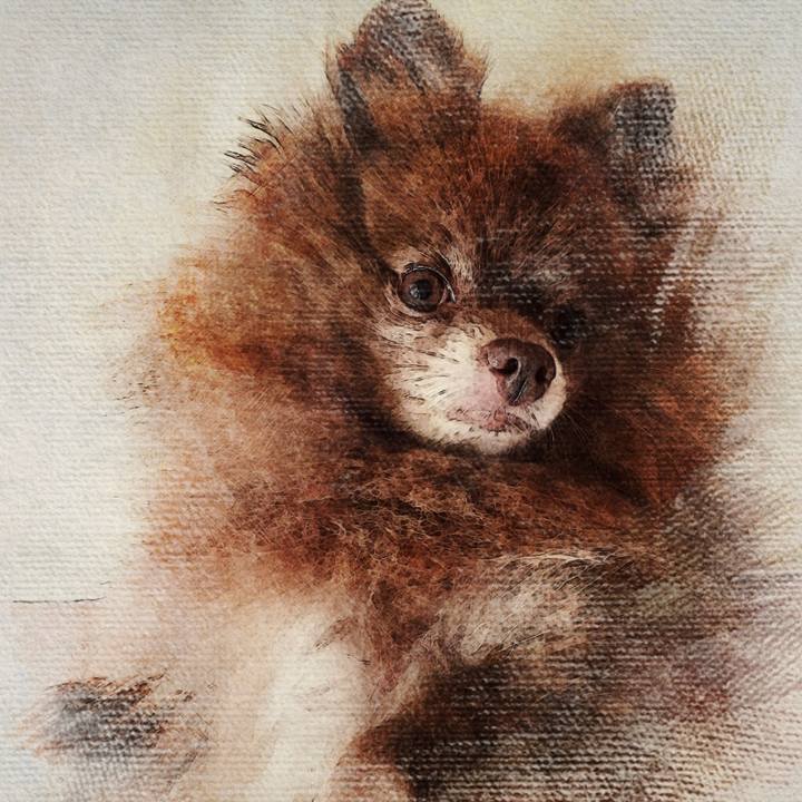 9f4f9e8d 3703 4110 8506 4d60d459e12f 1509459694518