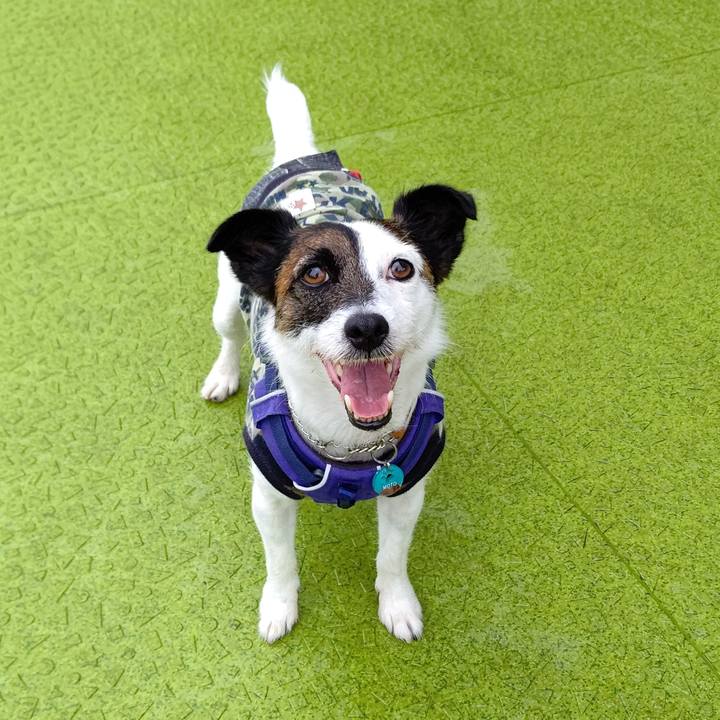 9f4f9f42 8e65 4cce 9dac e10e8e5a926d 1621389663574