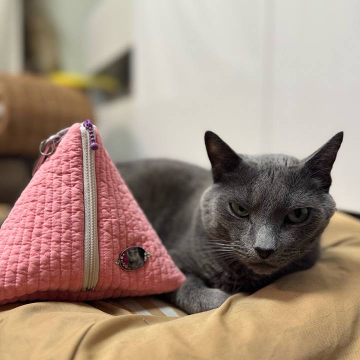 9f4fe512 c153 42a7 8c72 69063718779a 1773575953128