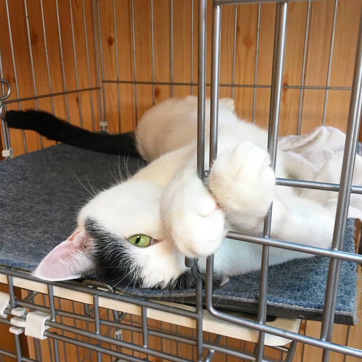 9f4fef23 19c3 4308 b26d 57186c751aec 1531526644095