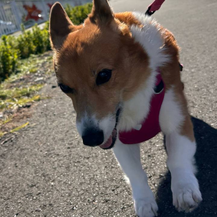 9f501bda 08ef 475e 89d7 264b62cc885d 1732335708393